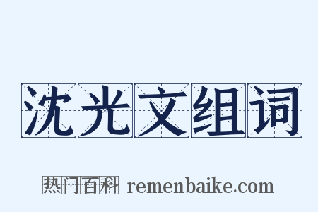 沈光文组词是什么意思的图片